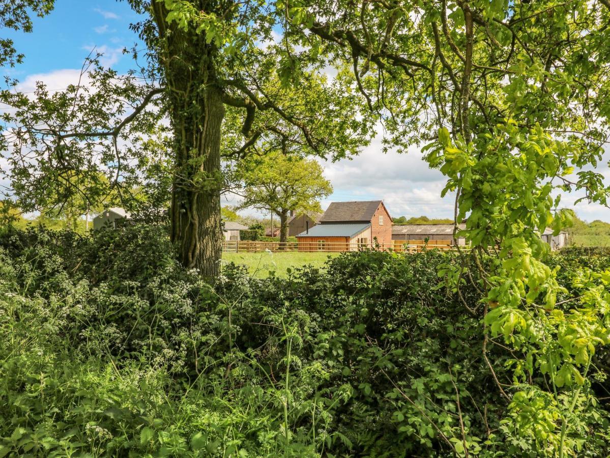 Acorn Lodge Stafford Kültér fotó